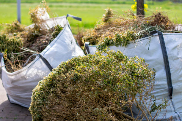 Trash Removal Near Me in Olivette, MO